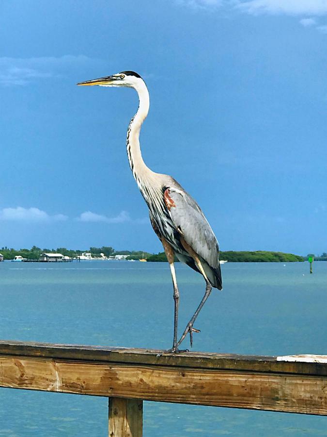 Shorewalk Full Condo Lake View Near To Beach Img Bradenton Ngoại thất bức ảnh